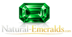 Natural Emeralds Logo